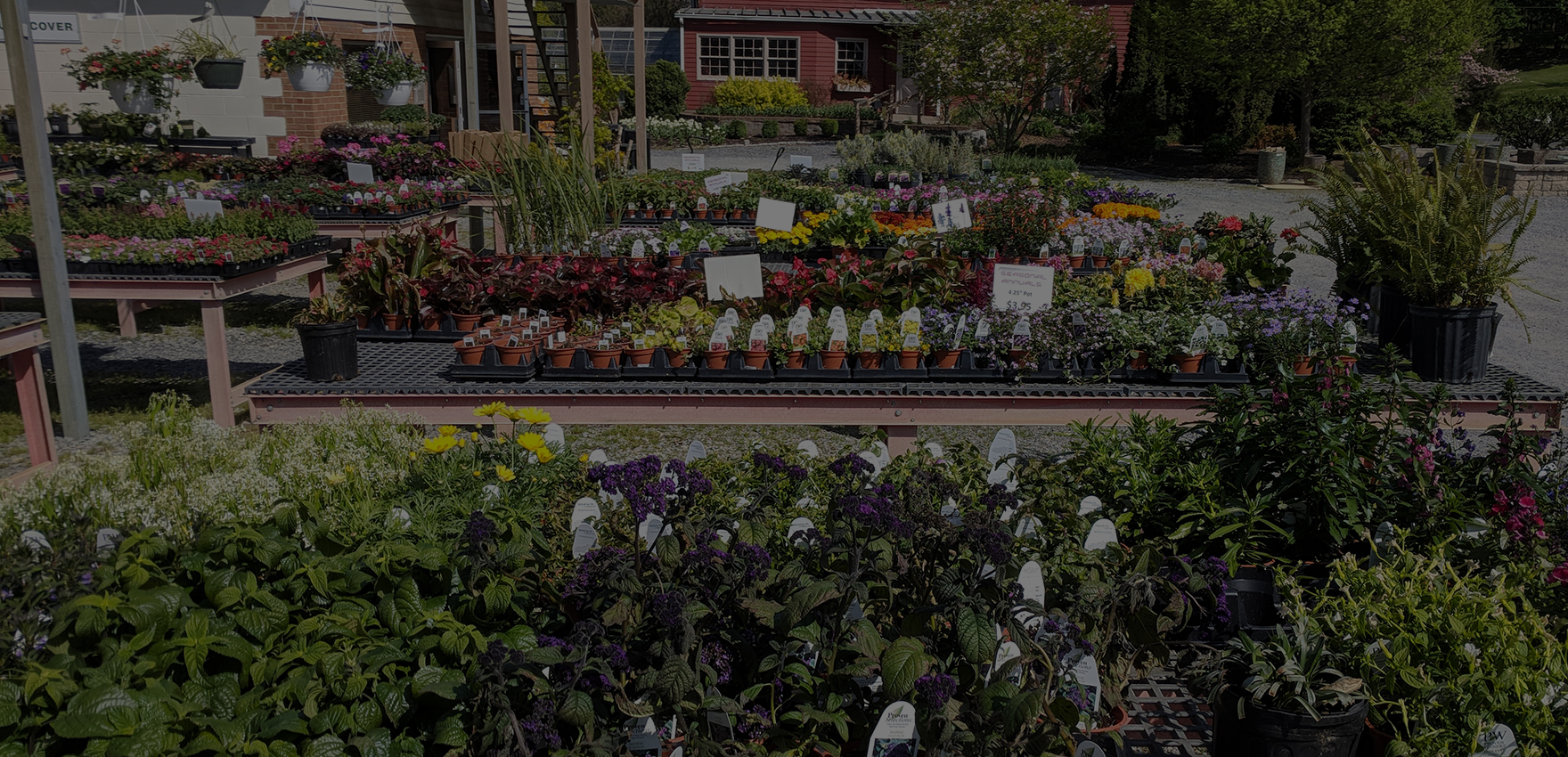 Village Garden Center Plants